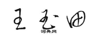 骆恒光王玉田草书个性签名怎么写