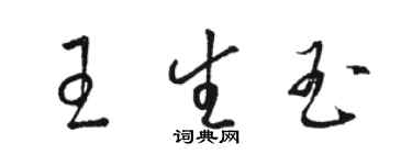 骆恒光王生玉草书个性签名怎么写