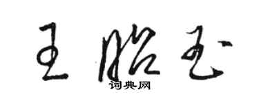 骆恒光王昭玉草书个性签名怎么写