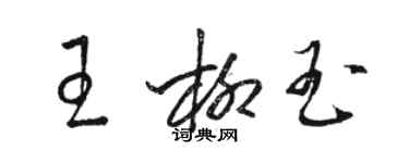 骆恒光王柳玉草书个性签名怎么写