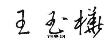 骆恒光王玉桦草书个性签名怎么写