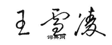 骆恒光王雪凌草书个性签名怎么写