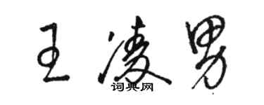 骆恒光王凌男草书个性签名怎么写