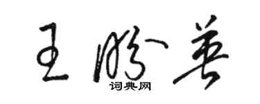 骆恒光王盼英草书个性签名怎么写