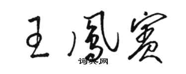 骆恒光王凤宾草书个性签名怎么写