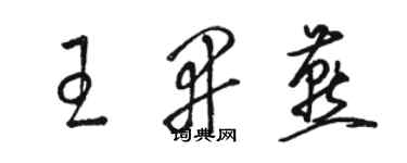 骆恒光王开燕草书个性签名怎么写