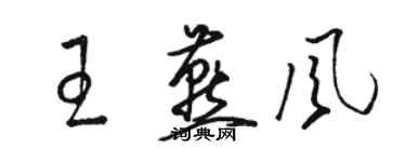 骆恒光王燕风草书个性签名怎么写