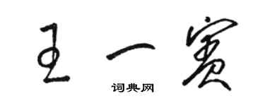骆恒光王一宾草书个性签名怎么写