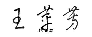 骆恒光王苹芳草书个性签名怎么写