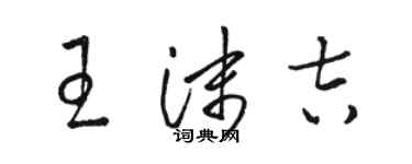骆恒光王沫吉草书个性签名怎么写