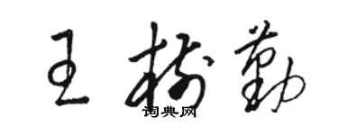 骆恒光王树勤草书个性签名怎么写