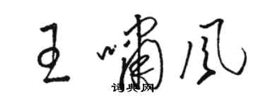 骆恒光王啸风草书个性签名怎么写