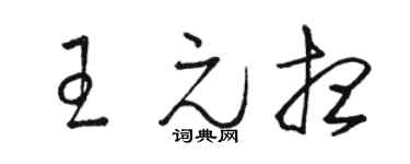 骆恒光王元想草书个性签名怎么写