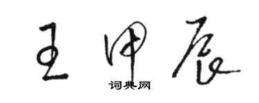 骆恒光王甲辰草书个性签名怎么写