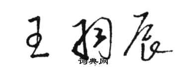 骆恒光王羽辰草书个性签名怎么写