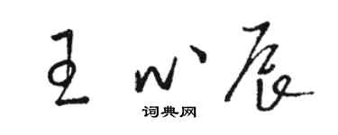 骆恒光王心辰草书个性签名怎么写