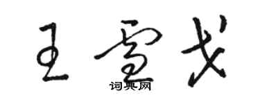骆恒光王雪戈草书个性签名怎么写