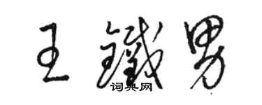 骆恒光王铁男草书个性签名怎么写