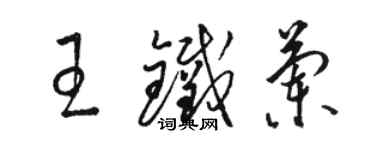 骆恒光王铁兰草书个性签名怎么写