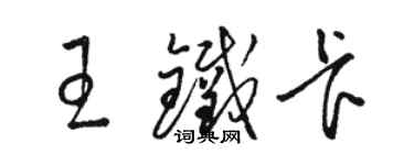 骆恒光王铁卡草书个性签名怎么写
