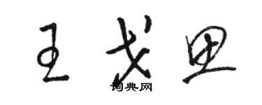 骆恒光王戈思草书个性签名怎么写