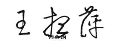 骆恒光王想萍草书个性签名怎么写
