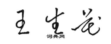 骆恒光王生花草书个性签名怎么写