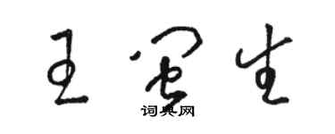 骆恒光王闽生草书个性签名怎么写