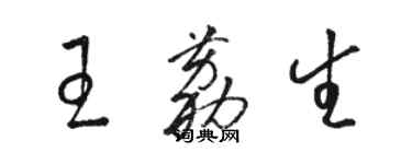 骆恒光王荔生草书个性签名怎么写