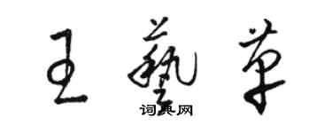 骆恒光王艺革草书个性签名怎么写
