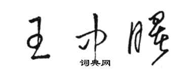 骆恒光王中曙草书个性签名怎么写