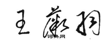 骆恒光王薇羽草书个性签名怎么写