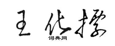 骆恒光王化标草书个性签名怎么写