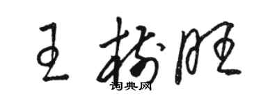 骆恒光王树旺草书个性签名怎么写