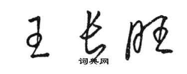 骆恒光王长旺草书个性签名怎么写