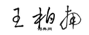 骆恒光王柏南草书个性签名怎么写