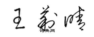 骆恒光王莉晴草书个性签名怎么写