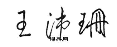 骆恒光王沛珊草书个性签名怎么写