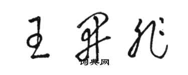 骆恒光王开非草书个性签名怎么写