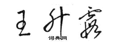 骆恒光王升霞草书个性签名怎么写