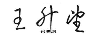 骆恒光王升望草书个性签名怎么写