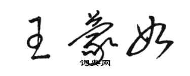 骆恒光王蒙如草书个性签名怎么写