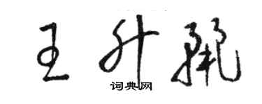 骆恒光王升丽草书个性签名怎么写