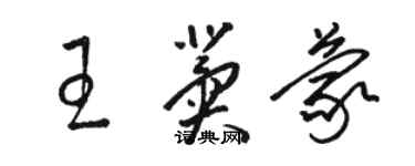 骆恒光王冀蒙草书个性签名怎么写