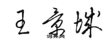 骆恒光王景城草书个性签名怎么写