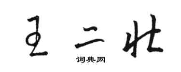 骆恒光王二壮草书个性签名怎么写