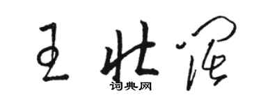 骆恒光王壮阔草书个性签名怎么写