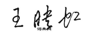 骆恒光王映虹草书个性签名怎么写