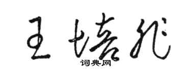 骆恒光王培非草书个性签名怎么写