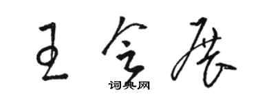 骆恒光王会展草书个性签名怎么写